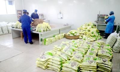 武山 中藥材種植開出“脫貧良方”