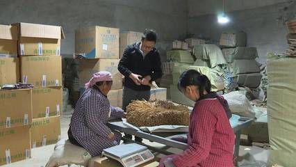代表委員風采 | 郝愛國 扎根鄉土 以中草藥鋪就共富路
